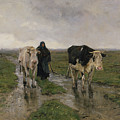 Changing Pasture