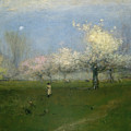 Spring Blossoms, Montclair, New Jersey